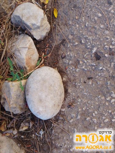 אבן נחל