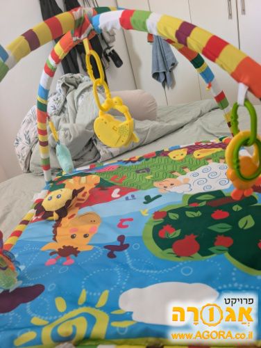אוניברסיטה