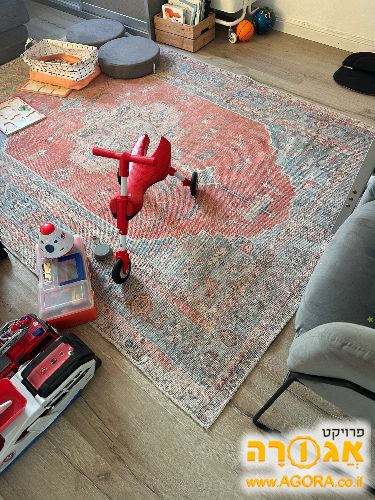 2 שטיחים