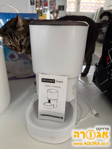 מאכיל אוטמטי לחתול