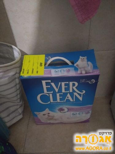 חול לחתול