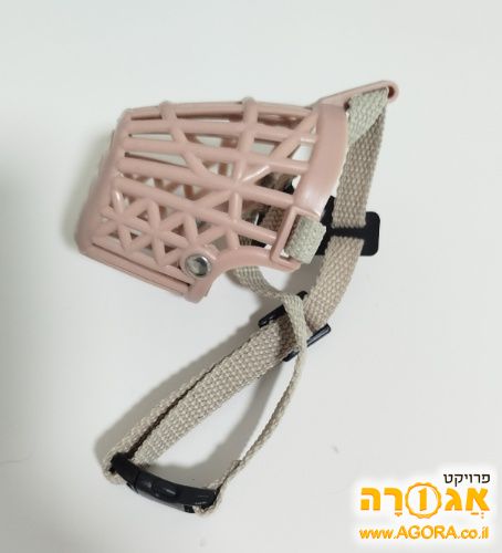 מחסום לפה