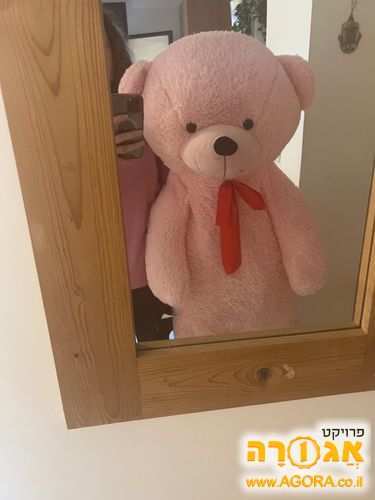 דובי פרווה ענק