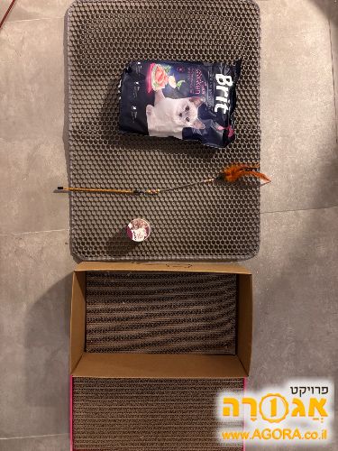 חפצים לחתול