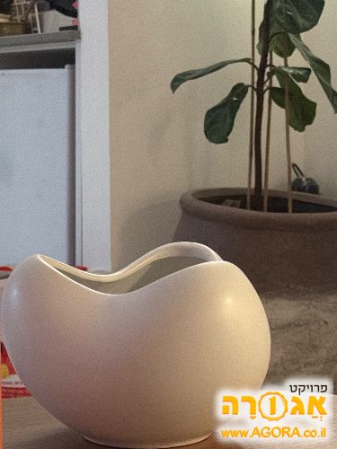 כד