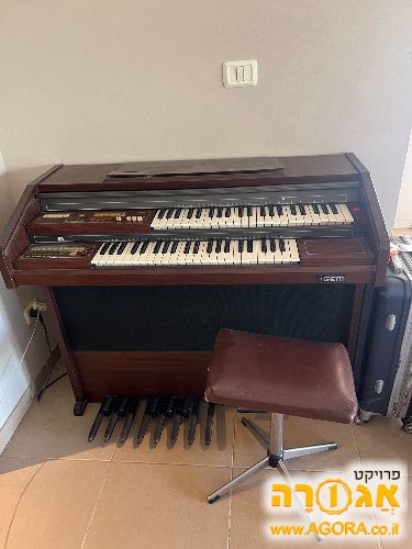 אורגן