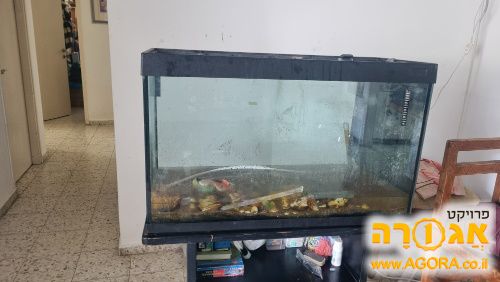 אקווריום מצוין 120 אורך