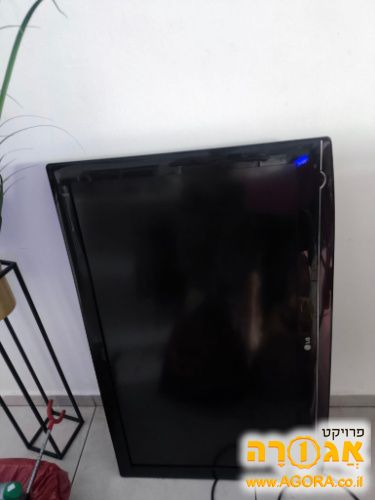 טלוויזיה