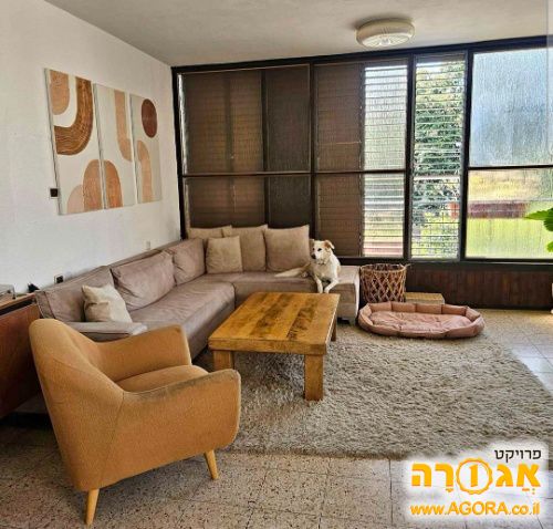 שטיח