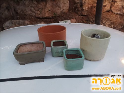 חמישה עציצי קרמיקה קטנים