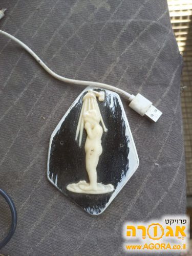 שלט למקלחת וינטג'