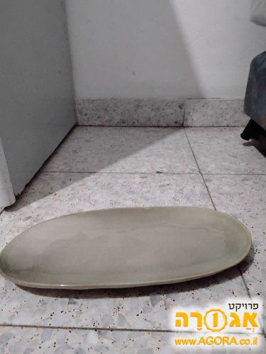 צלחת שטוחה