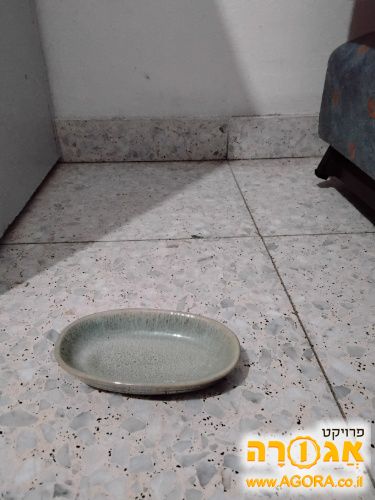 צלוחית
