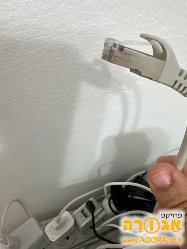 כבל רשת