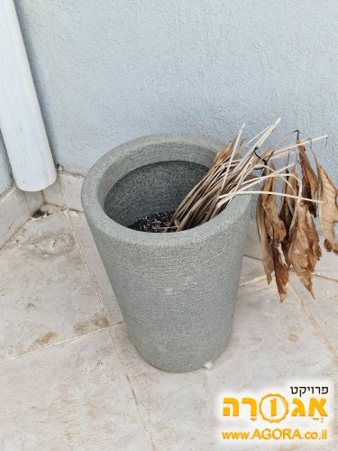 אגרטל