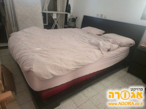 מיטה