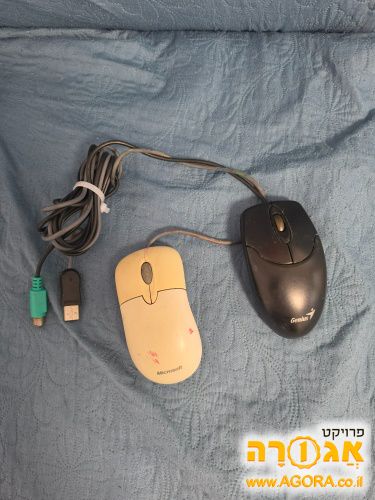 עכבר