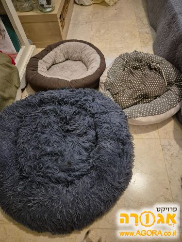 3 מיטות כלבים