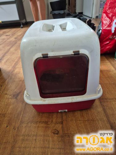 ארגז חול לחתולים