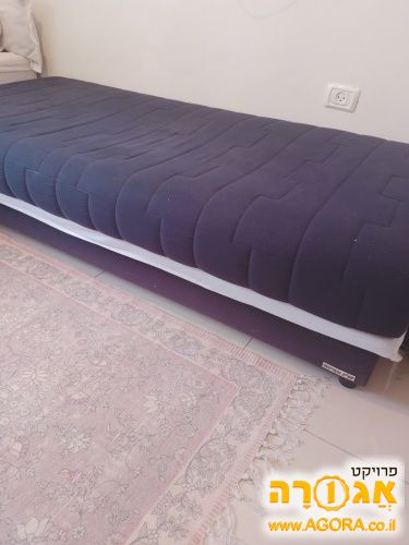 ספפה עמינח