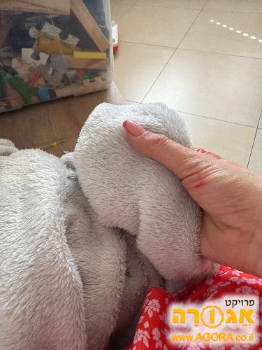 שמיכה