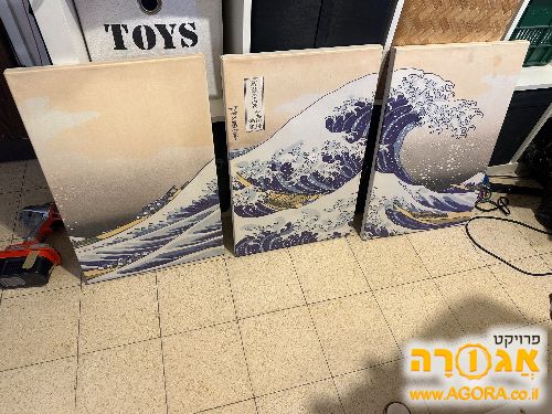 3 תמונות של גל