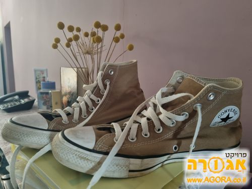 Converse Allstars shoes 42