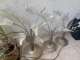 שלוש נברשות לתלייה