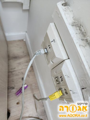 כבל רשת