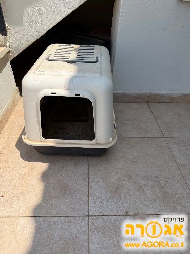 שירותים לחתול