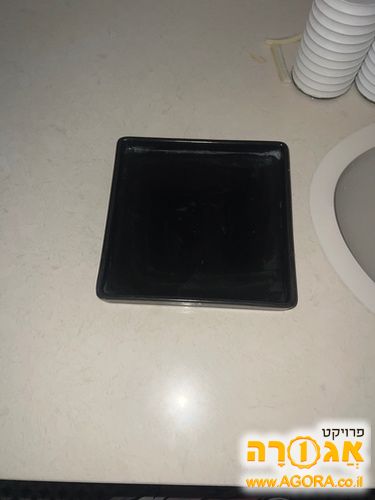 צלחת לנוי