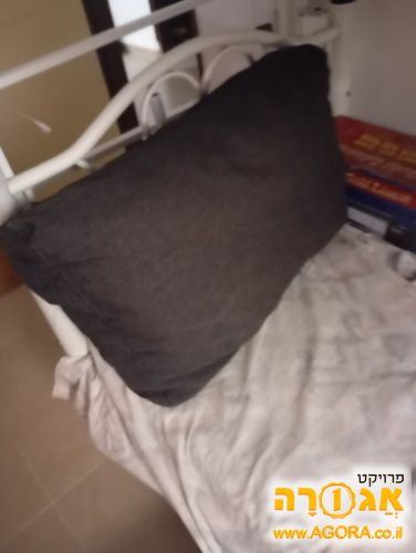 כריות לכלבים