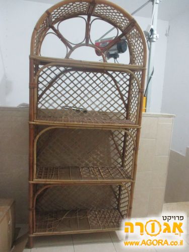 עמודון