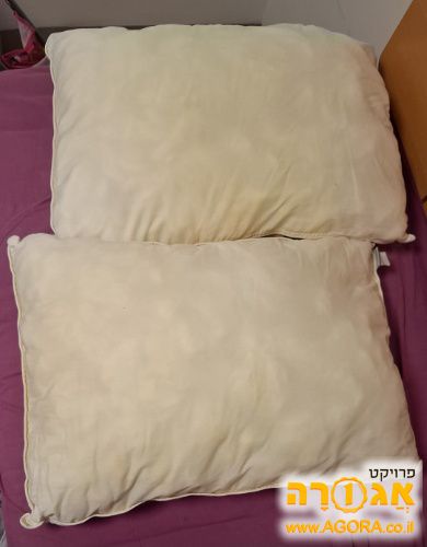 זוג כריות של fox home