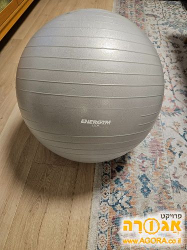 כדור פיזיו