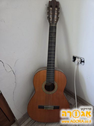 גיטרה