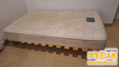 מיטה