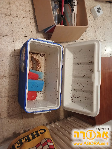 צידנית עם מיכלים שומרי קור