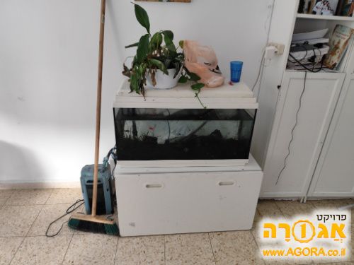 אקווריום