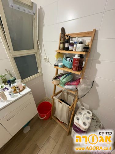 ארונית