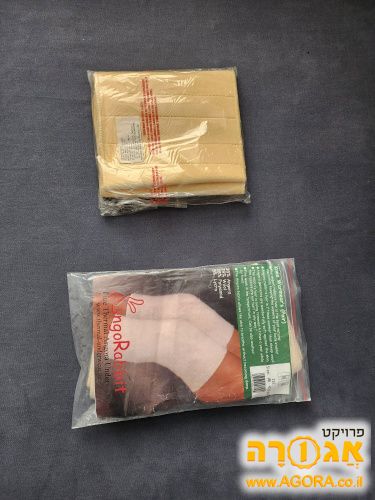 חגורת גב