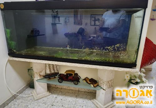 אקווריום ומעמד מיוחד משיש