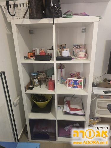 כוורת