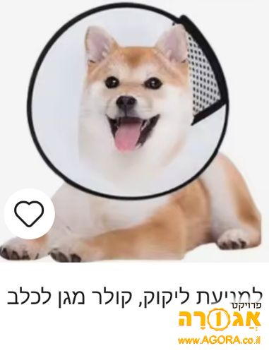 מגן לכלב אחרי ניתוח נועד למנוע מהכלב ללק