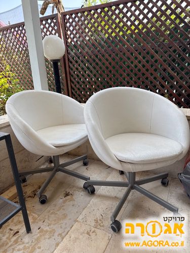 כסאות לבנים