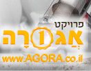 אביזרים לדייסון 11 absolute