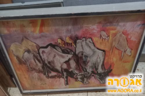 ציור ממוסגר במסגרת עץ/זכוכית