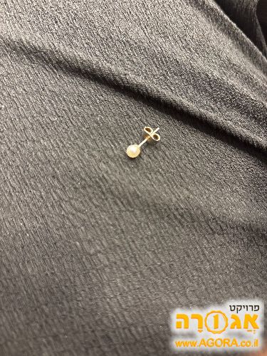 עגיל