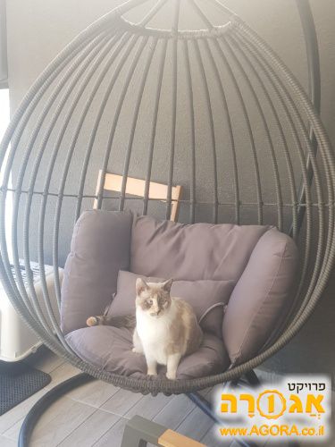 ערסל נדנדה