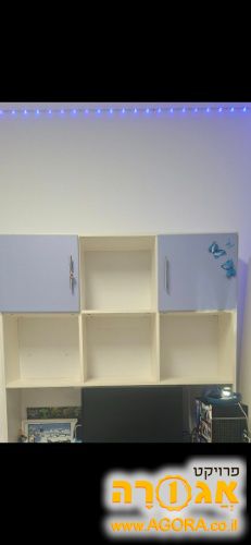 כוורת לספריית ילדים